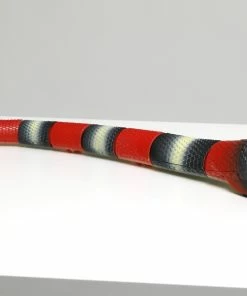 DISCOVERY KINGSNAKE REMOTE CONTROL PET CREATURE -Toddler toy car Shop T65878 4 3759c550 9b88 44f3 9285 afa7392b152a scaled